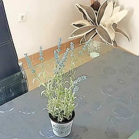 Apartment Pia Milna (Brac)