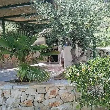 Pia